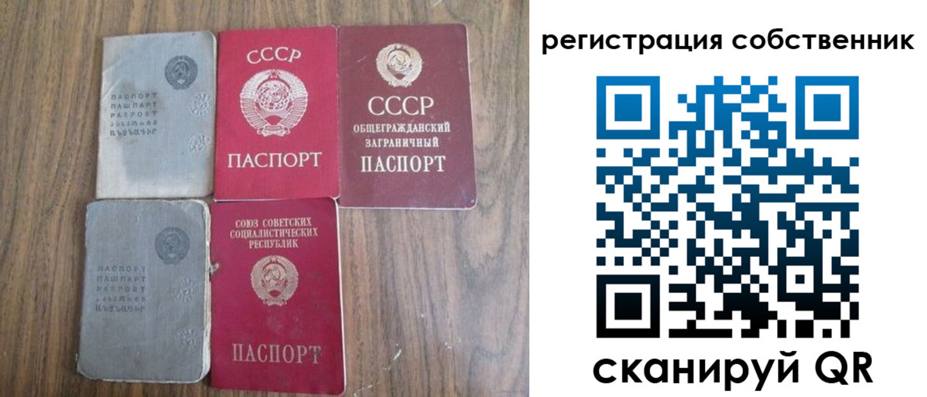 прописка ребенка в Кудрово